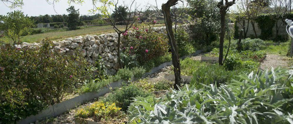 Masseria La Meridiana 阿尔塔穆拉 外观 照片