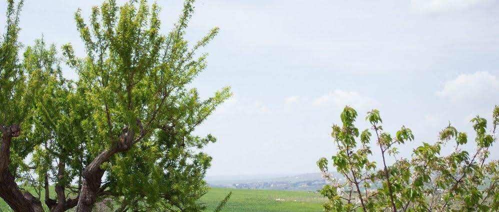 Masseria La Meridiana 阿尔塔穆拉 外观 照片